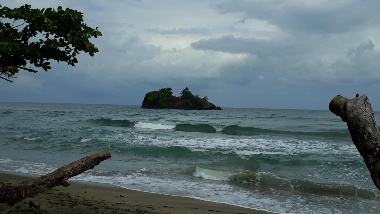 Hotel La Uvita ปูแอร์โตลีมอน ภายนอก รูปภาพ